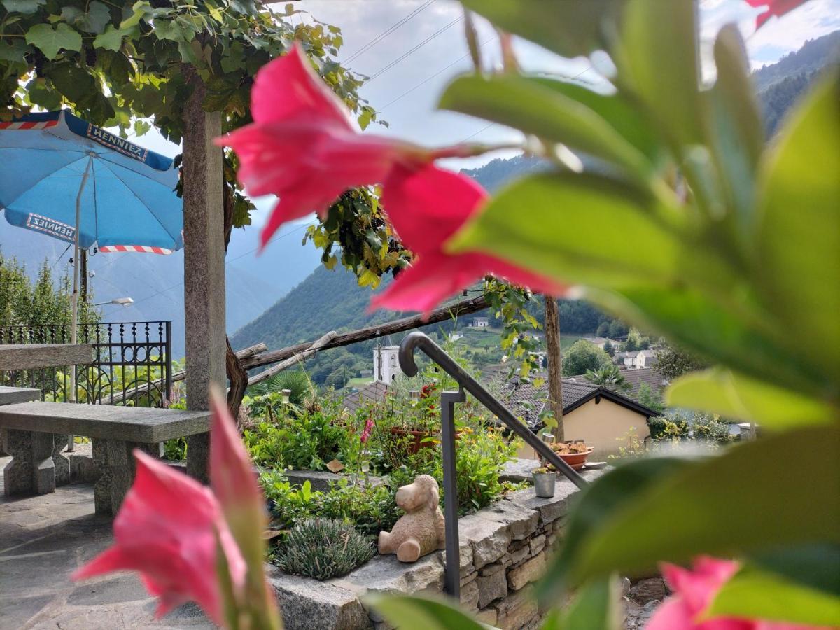 Da Erminia Bed & Breakfast Verdabbio Exterior photo