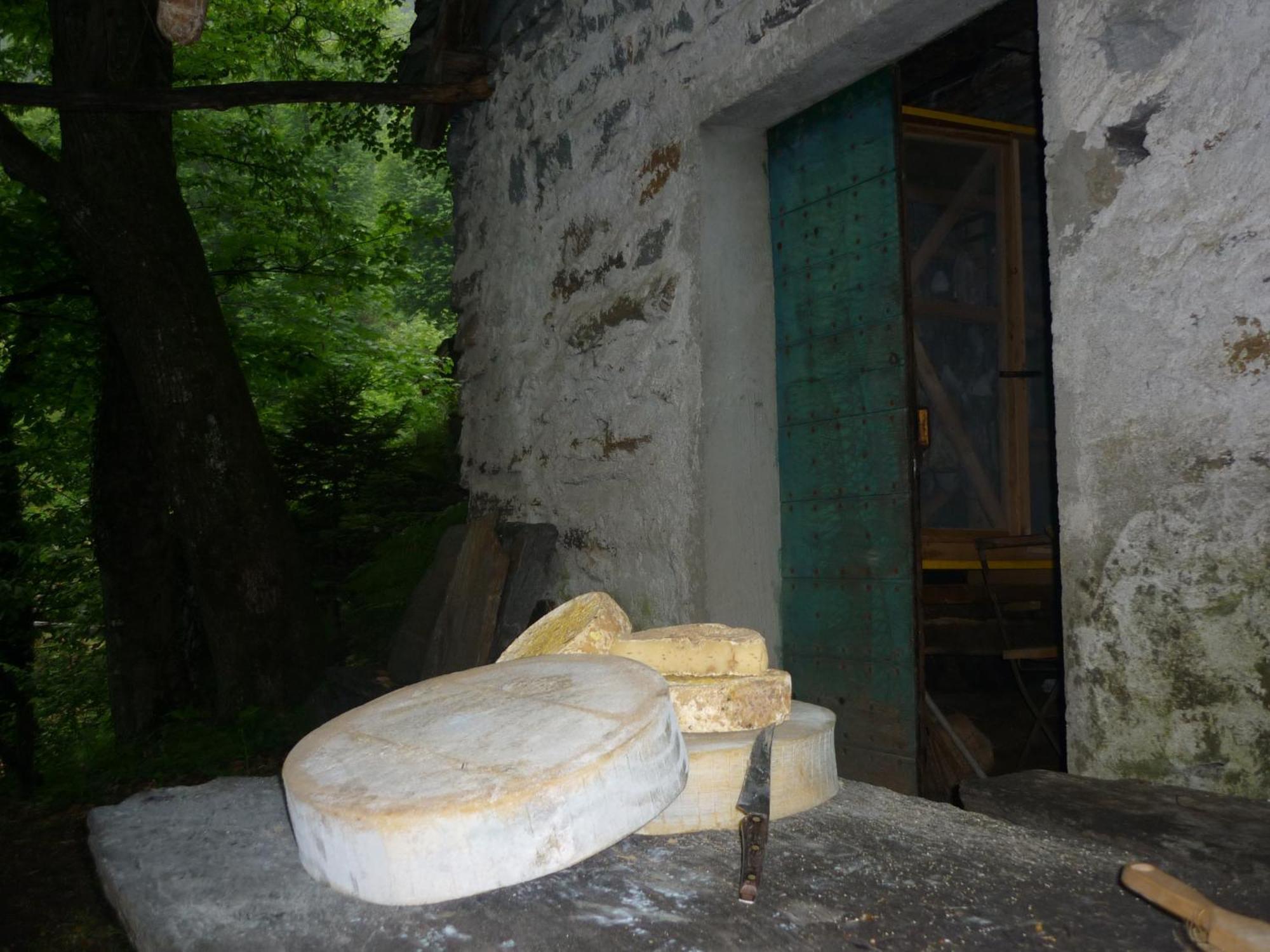 Da Erminia Bed & Breakfast Verdabbio Exterior photo